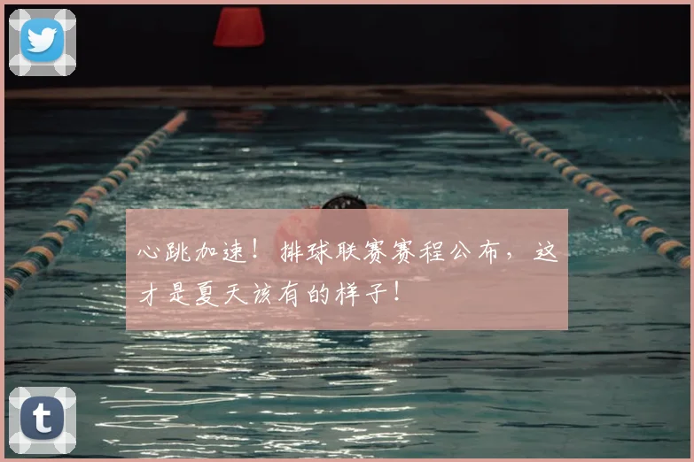 心跳加速！排球联赛赛程公布，这才是夏天该有的样子！